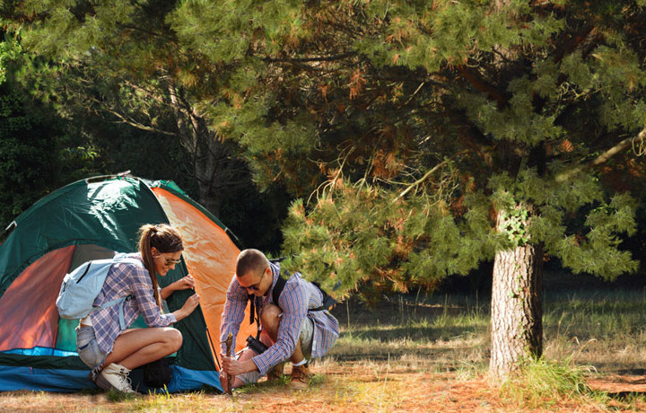 Location Camping Ile d'Oléron **