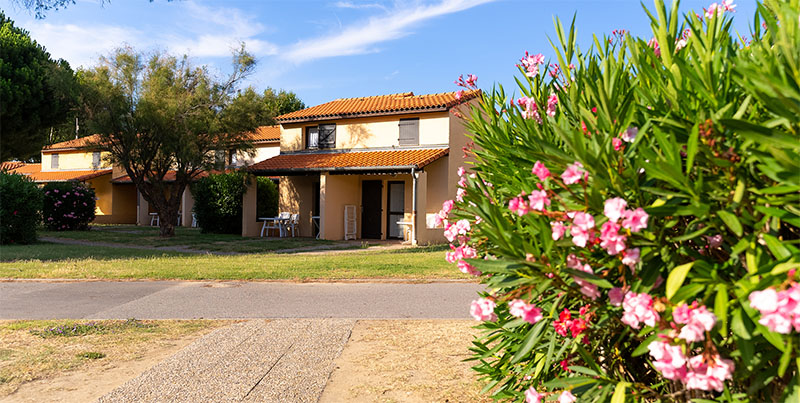 residence st cyprien residence vacances